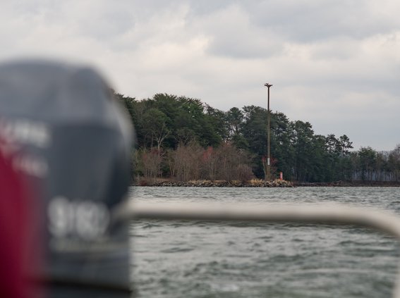 03222018 OSPREY 6.jpg