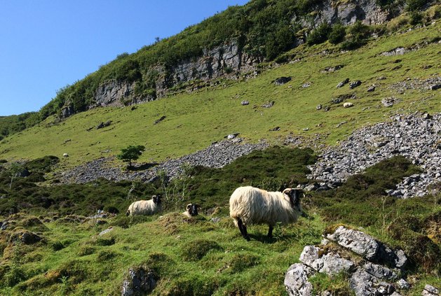 10252018 IRELAND 3.jpg