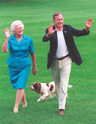 Bush1.jpg