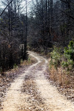 02032019 TRAIL 4.jpg