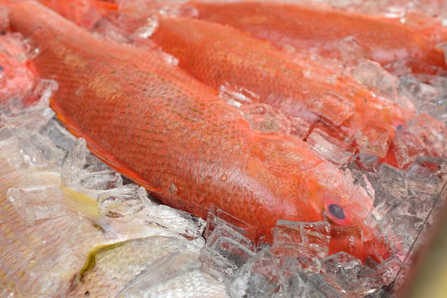 03132019 FISH 2.jpg
