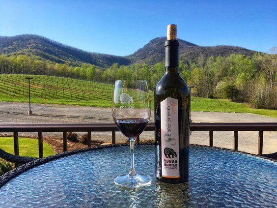 yonah-mountain-vineyards-genesis-8 copy.jpg