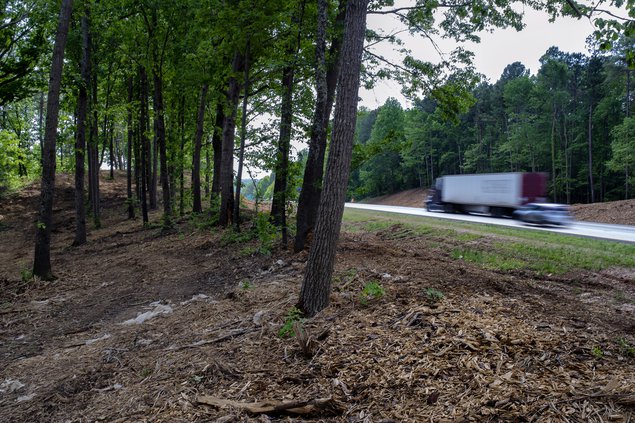 05052019 TREES 2.jpg